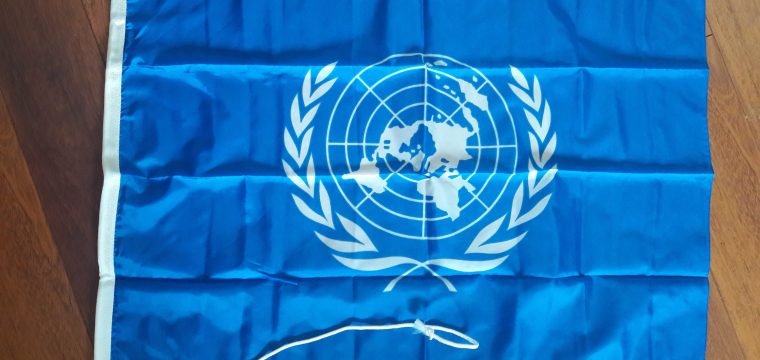 VN Vlag middenformaat