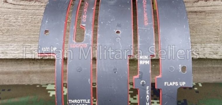 Flaps panel F-16/NF5 fighter plane